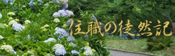 住職の徒然記