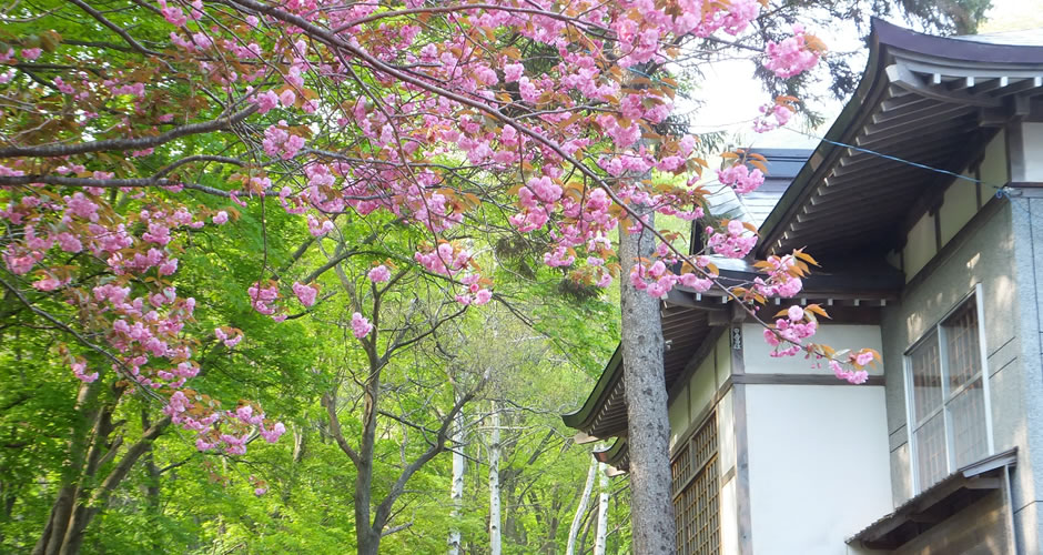 空と海と癒しのお寺