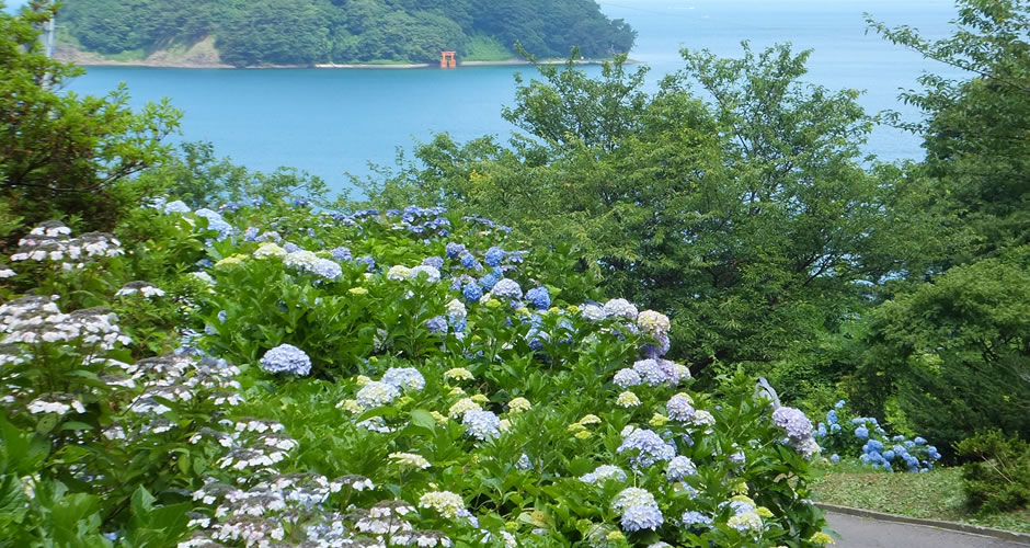 空と海と癒しのお寺