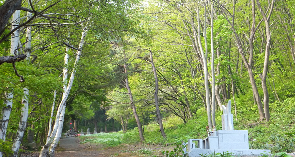 空と海と癒しのお寺