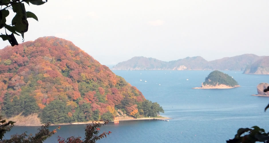 空と海と癒しのお寺