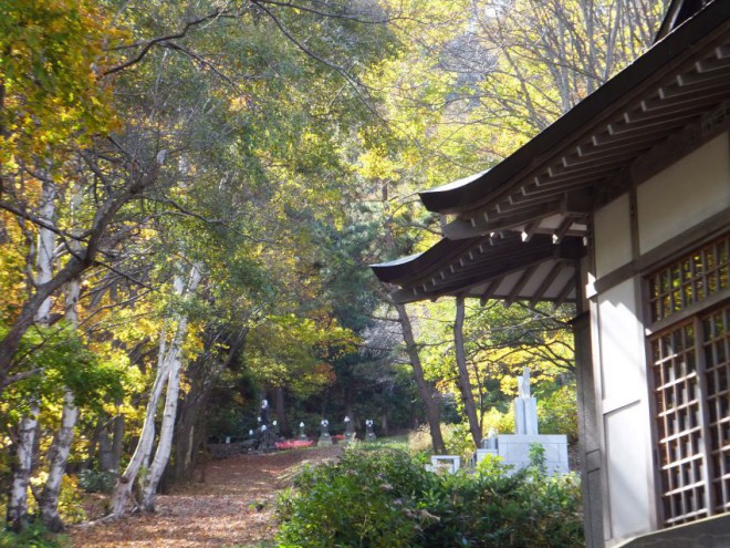 秋の参道2