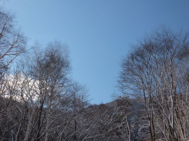 本堂よりの冬景色３