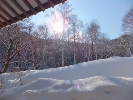 本堂よりの冬景色１