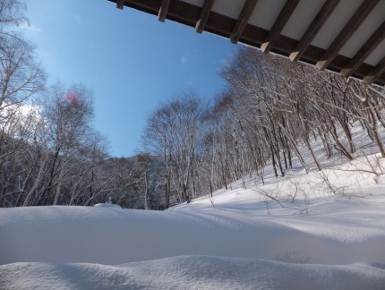 本堂よりの冬景色２