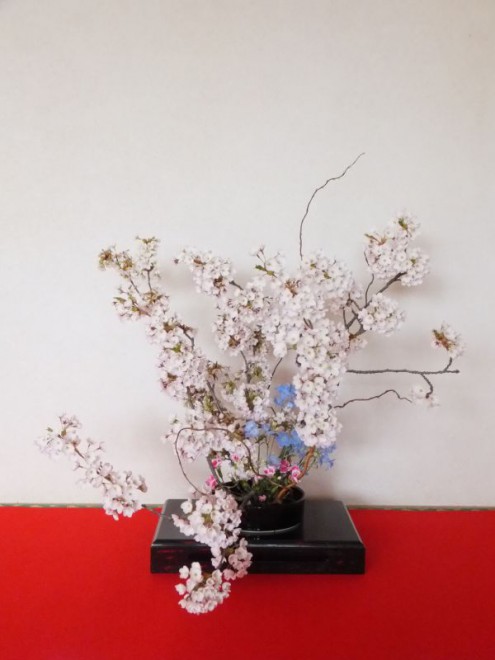 生け花桜