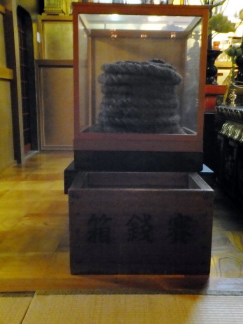 毛綱